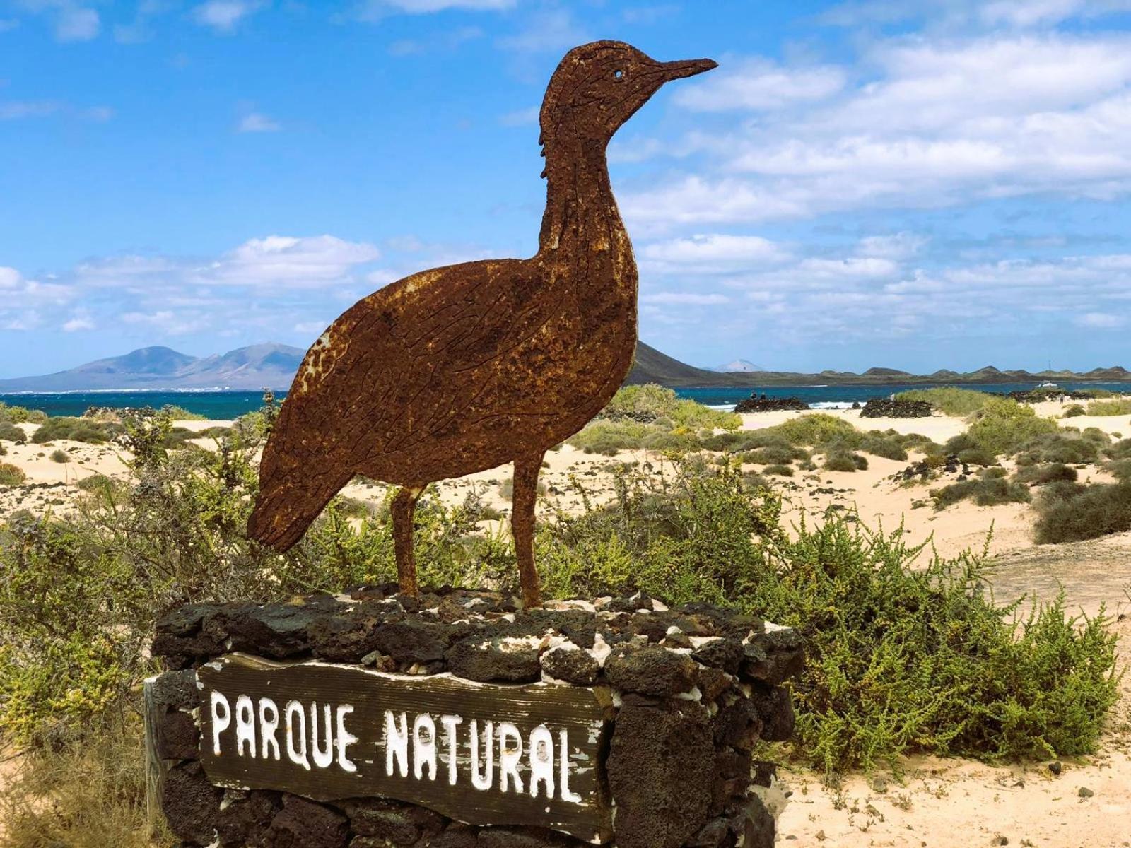 Bubela By Sea You There Fuerteventura Corralejo Ngoại thất bức ảnh